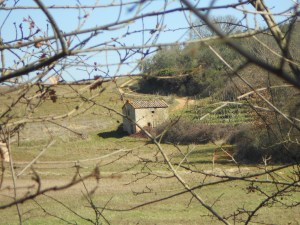 5-Le campagne di S. Colomba